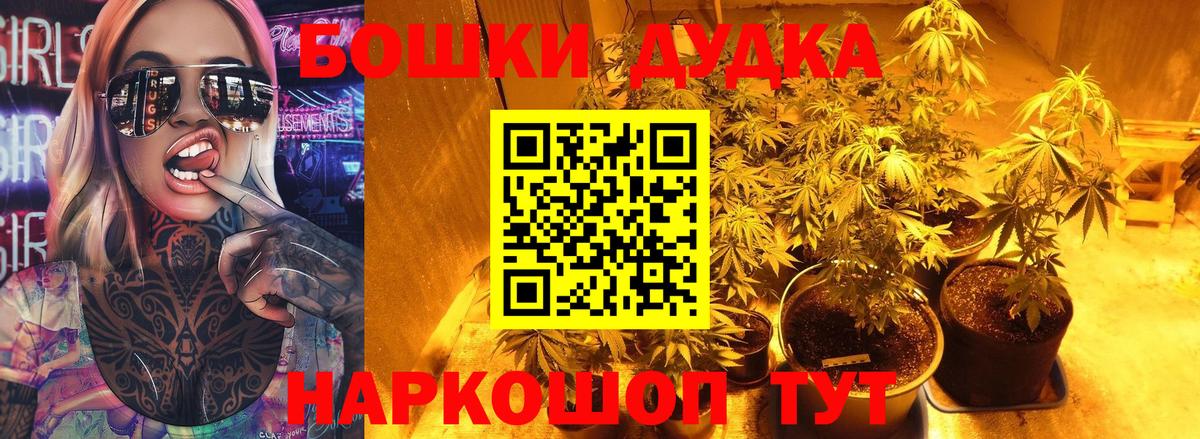 Шишки марихуана планчик Подольск
